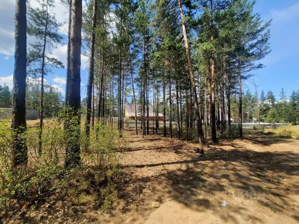 Участок в Забайкальский край, Читинский район, Атамановское городское ... - Фото 0
