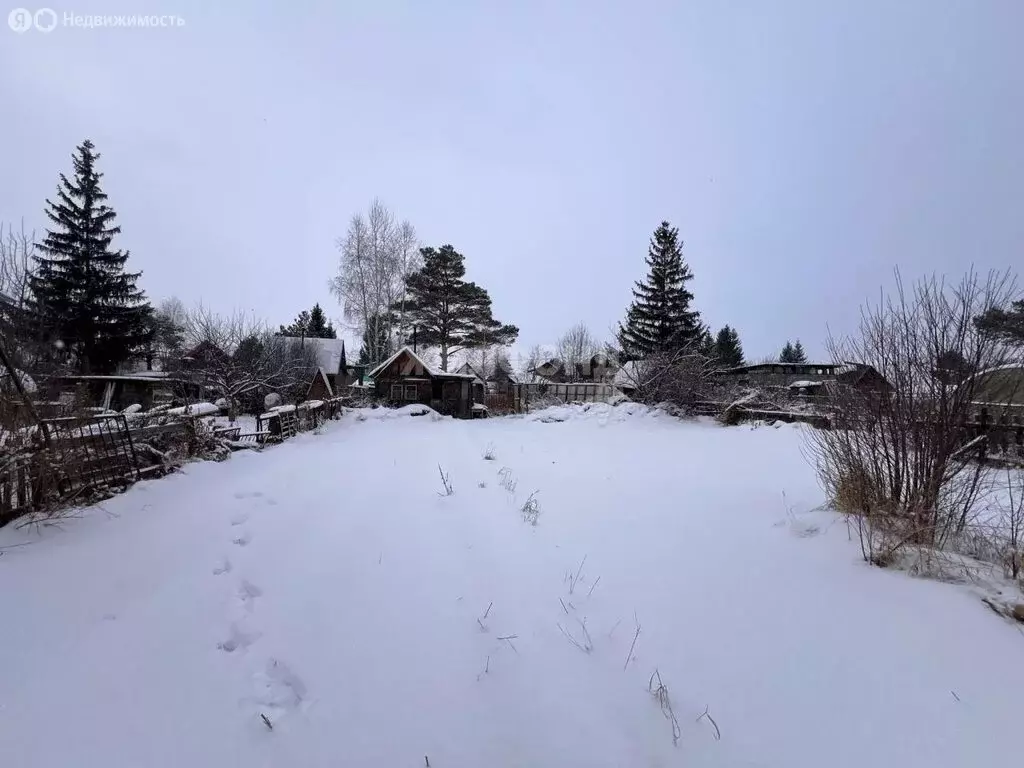 Участок в Новосибирский район, Кудряшовский сельсовет, СТ Иней-2 (7.25 ... - Фото 0