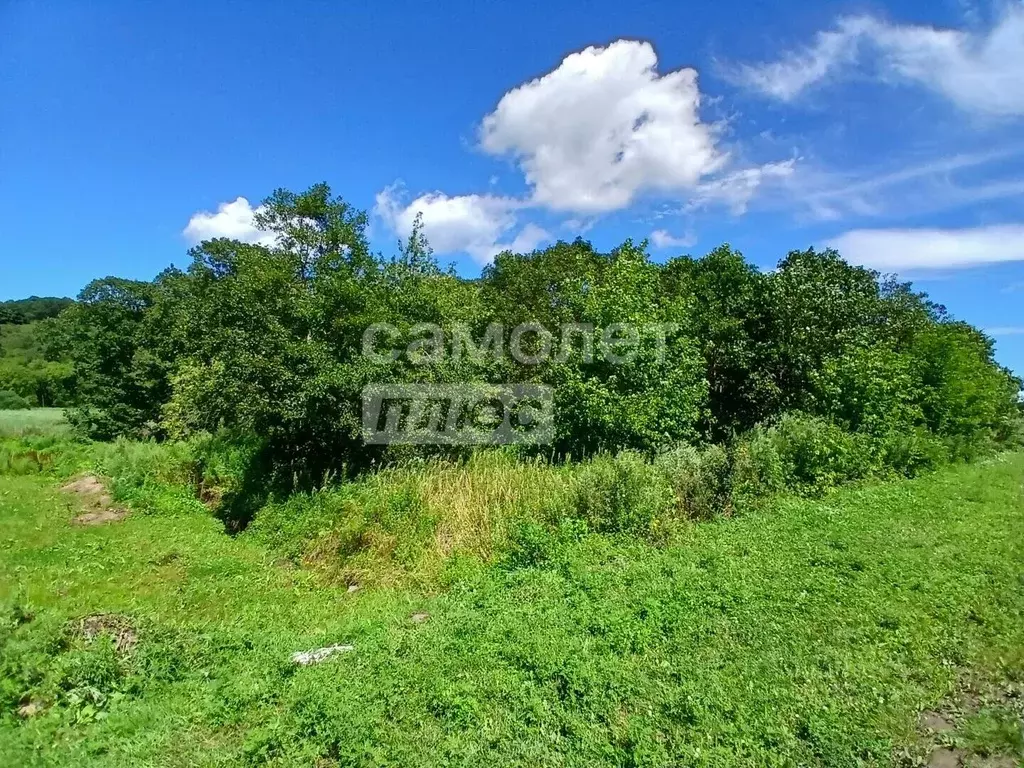 Участок в Приморский край, Дунай пгт ул. Почтовая, 14А (13.1 сот.) - Фото 1