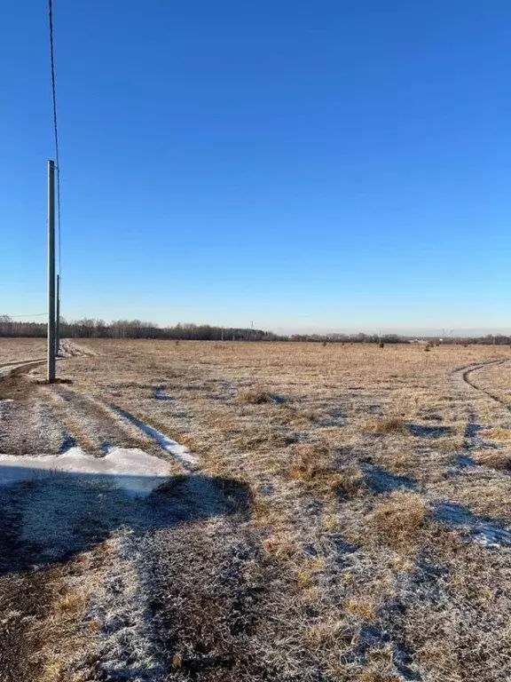 Участок в Пермский край, Пермский муниципальный округ, д. Качка ул. ... - Фото 1