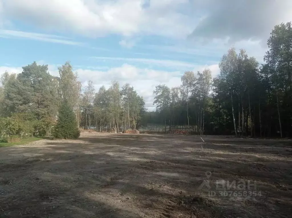 Участок в Ленинградская область, Приозерский район, Севастьяновское ... - Фото 1