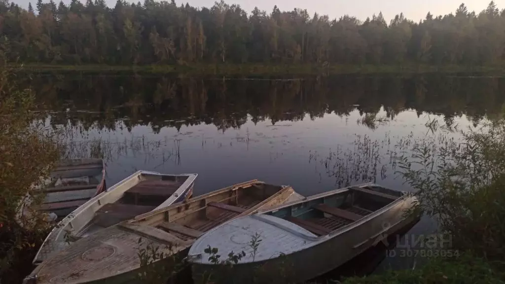 Участок в Ленинградская область, Кингисепп Порхово садоводческий ... - Фото 0