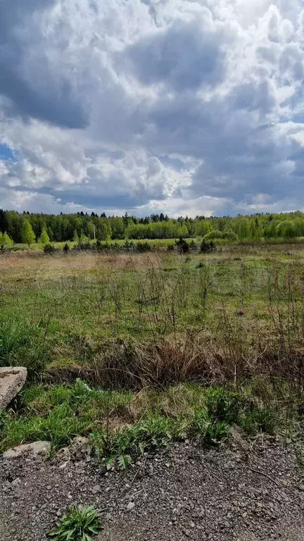 Участок 13 сот. (СНТ, ДНП) - Фото 1