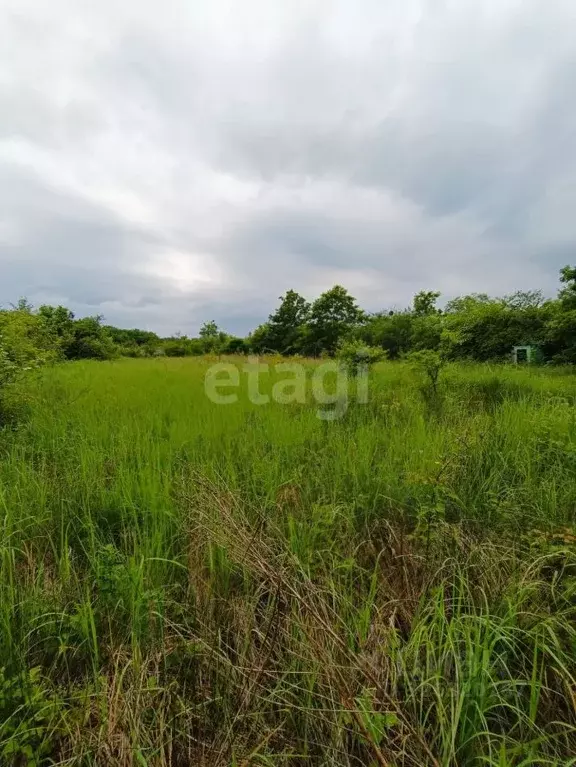 Участок в Адыгея, Майкопский район, Победенское с/пос, Шаумян хут.  ... - Фото 1