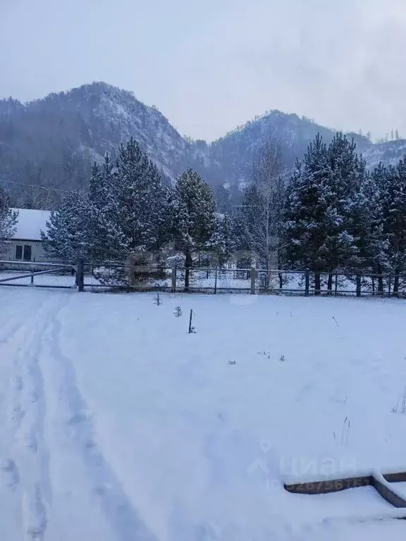 Дом в Алтай, Чемальский район, с. Чемал ул. Березовая, 15 (33 м) - Фото 1
