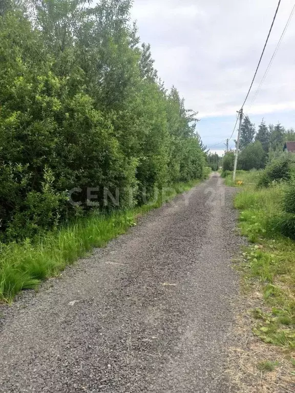 Участок в Ленинградская область, Всеволожское городское поселение, ... - Фото 1