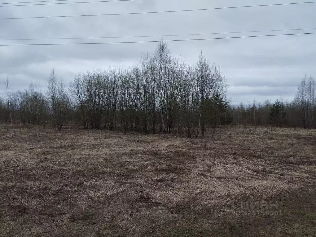 Участок в Нижегородская область, с. Безводное  (10.0 сот.) - Фото 1