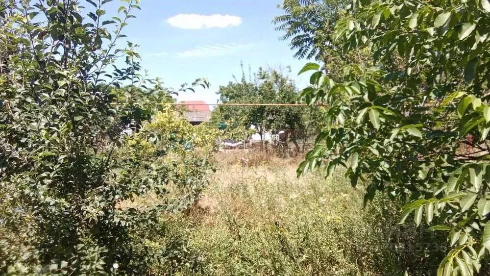 Дом в Краснодарский край, Анапа муниципальный округ, Анапская ст-ца ... - Фото 1