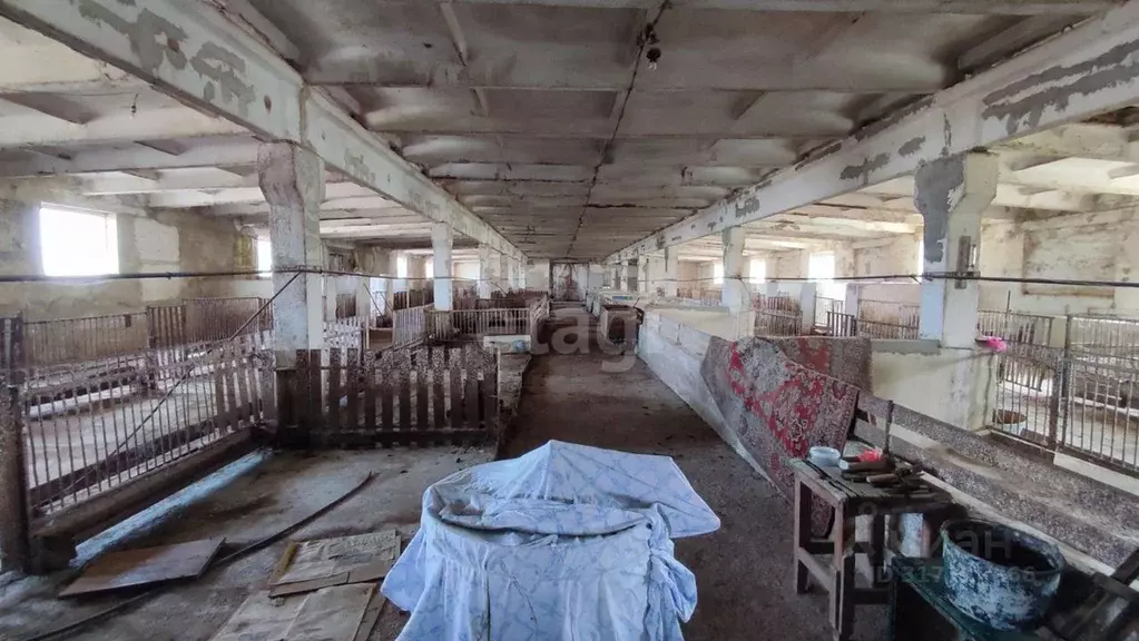 Склад в Крым, Белогорский район, Русаковское с/пос, с. Луговое ул. ... - Фото 1