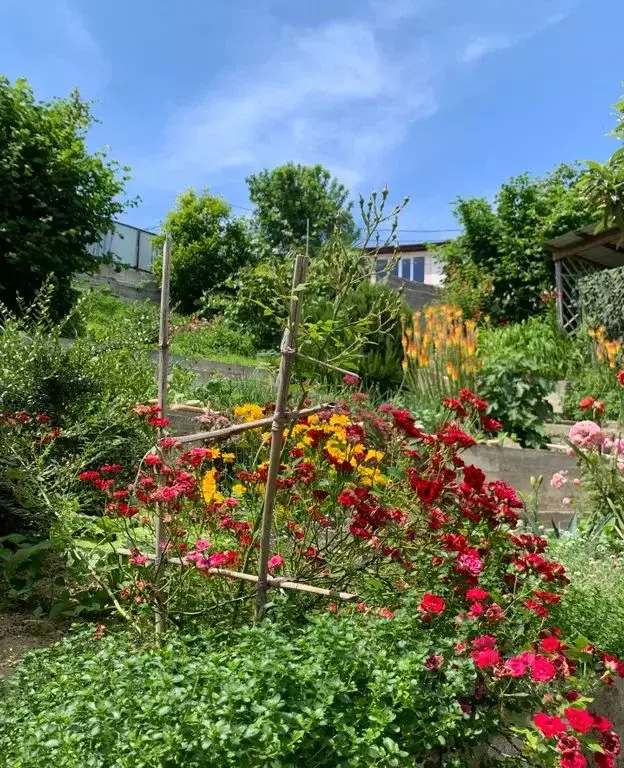 Дом в Краснодарский край, Туапсинский муниципальный округ, с. Небуг ... - Фото 2