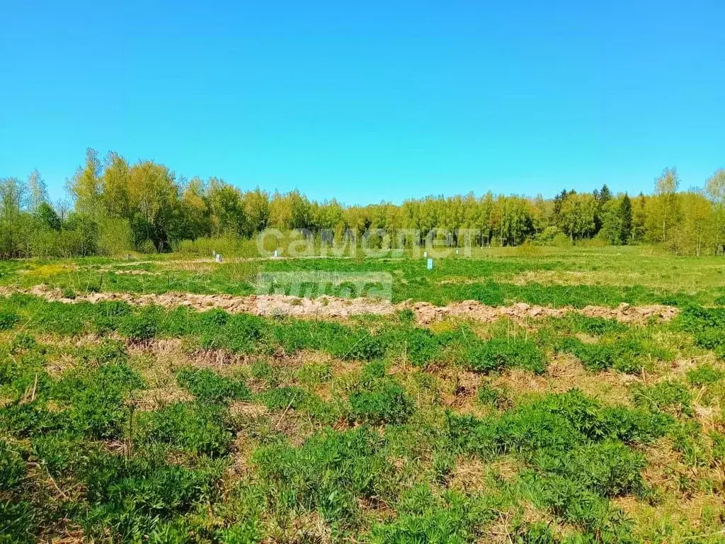 Участок в Московская область, Солнечногорск городской округ, д. ... - Фото 0