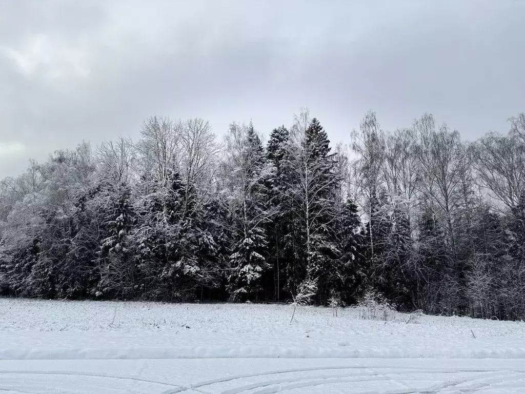 Участок в Московская область, Пушкинский городской округ, ... - Фото 2