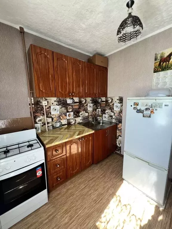 1-к кв. Курганская область, Курган ул. Ястржембского, 40А (33.8 м) - Фото 1