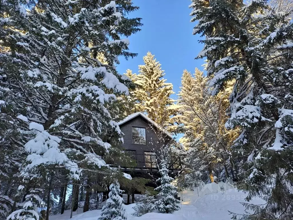 Дом в Пермский край, д. Христофоровка ул. Залесная, 48 (32 м) - Фото 0