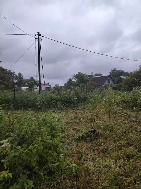 Участок в Ленинградская область, Гатчинский район, пос. Новый Свет, ... - Фото 1