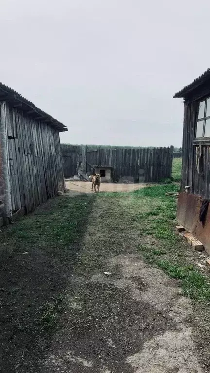 Участок в Свердловская область, Богданович муниципальный округ, д. ... - Фото 1