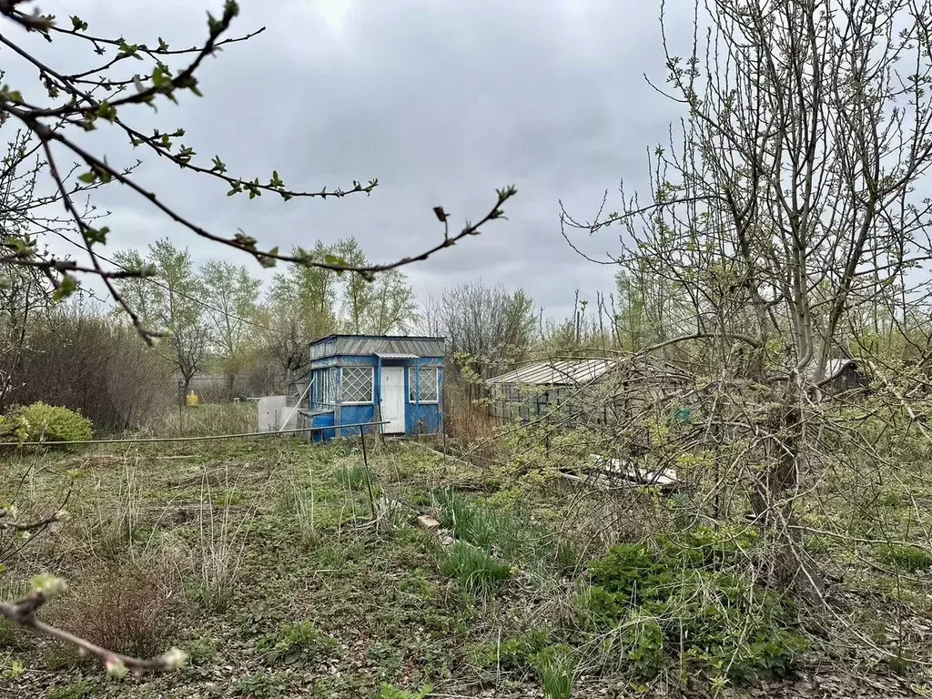 Участок 6 сот. (СНТ, ДНП) - Фото 0