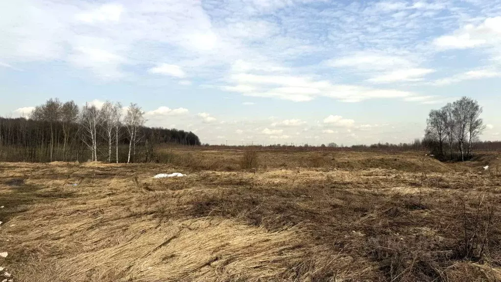 Участок, 11.1 сот., поселения (ижс) - Фото 1