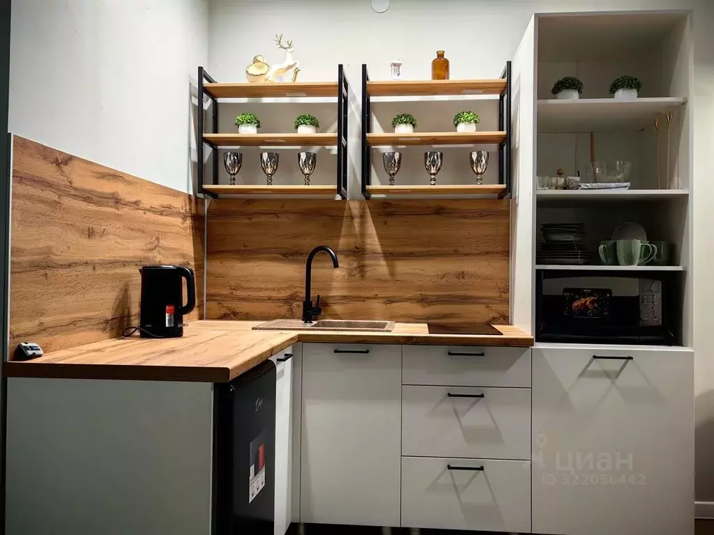 Студия Алтай, Горно-Алтайск Советская ул., 7 (34.0 м) - Фото 2