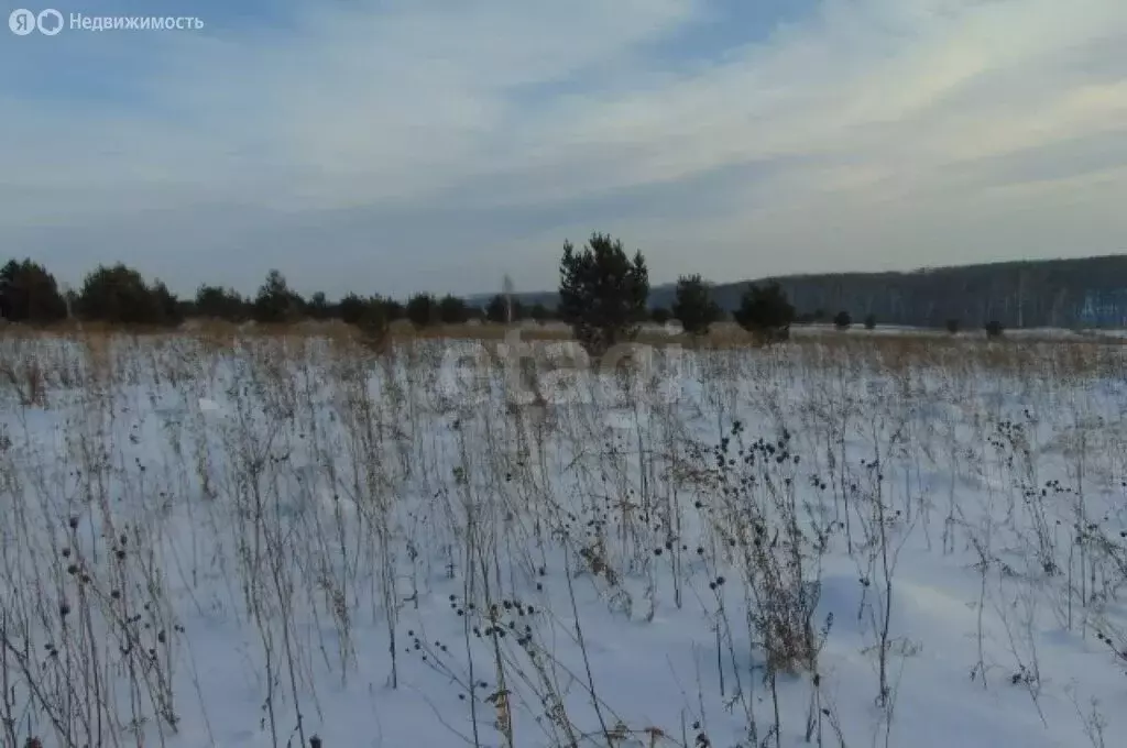 Участок в Раздольненский сельсовет, садоводческое товарищество Медик, ... - Фото 1