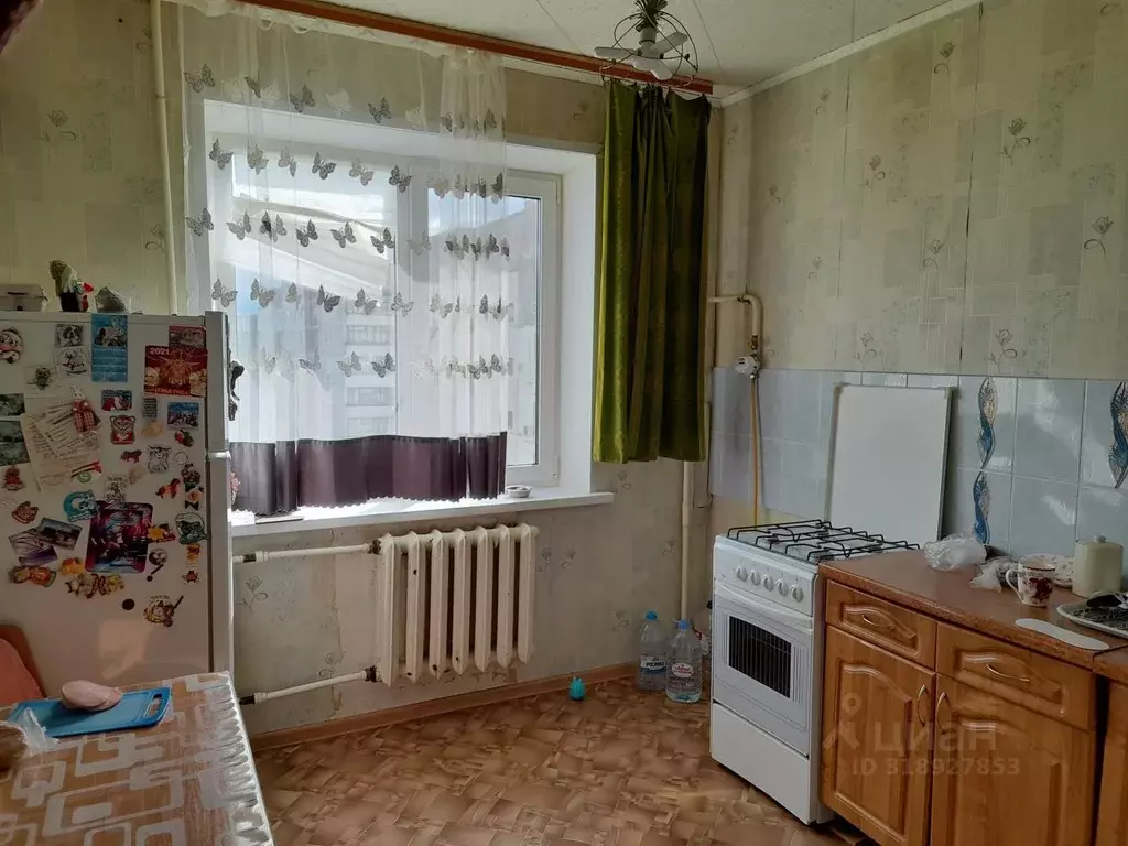 3-к кв. Орловская область, Орел Раздольная ул., 66 (64.0 м) - Фото 0