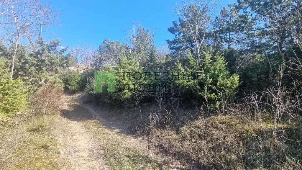 Участок в Краснодарский край, Новороссийск городской округ, с. Мысхако ... - Фото 1