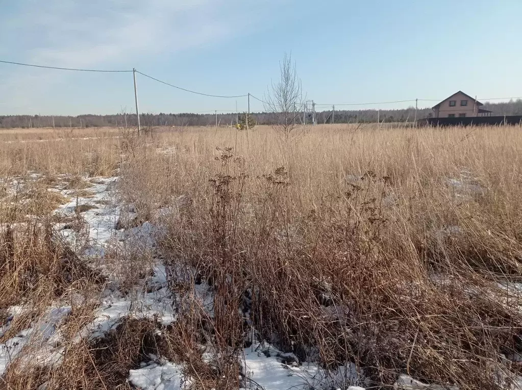 Участок в Московская область, Орехово-Зуевский городской округ, д. ... - Фото 0