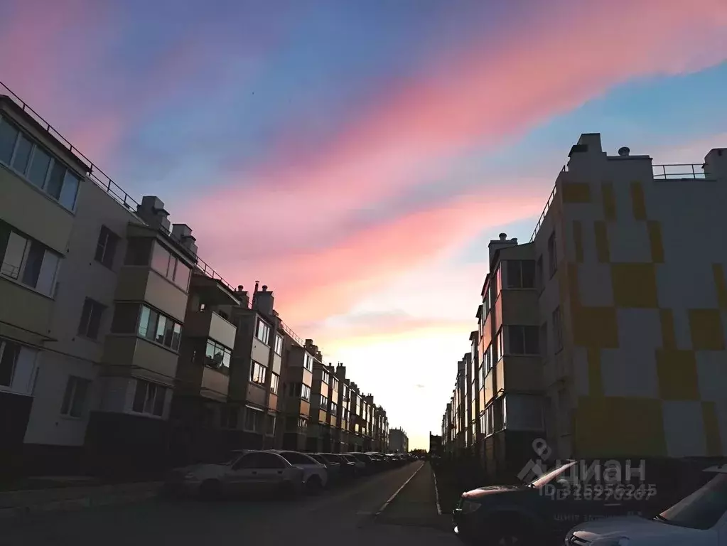 1-к кв. Ульяновская область, Ульяновск просп. Столыпина, 25 (28.0 м) - Фото 2