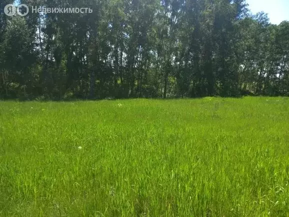 Участок в Новосибирский район, Морской сельсовет, село Ленинское (5 м) - Фото 1