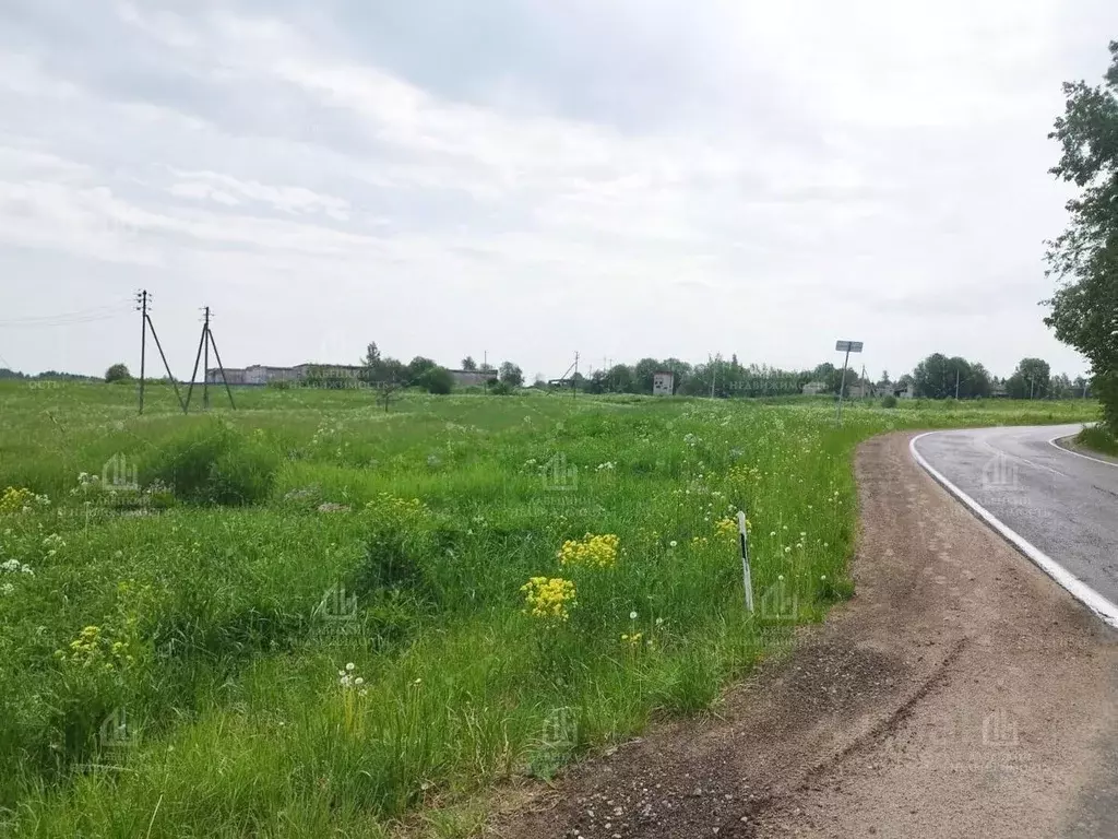 Участок в Ленинградская область, Ломоносовский район, Лопухинское ... - Фото 0