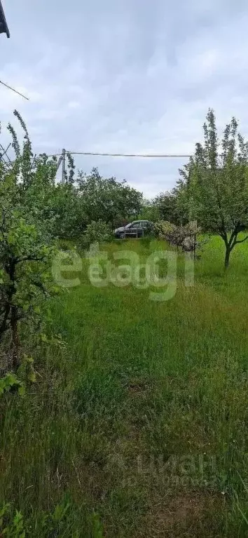 Участок в Белгородская область, Корочанский муниципальный округ, ... - Фото 2