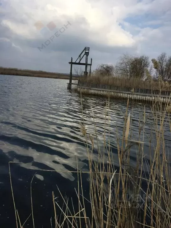 Участок в Краснодарский край, Ленинградский муниципальный округ, ... - Фото 1