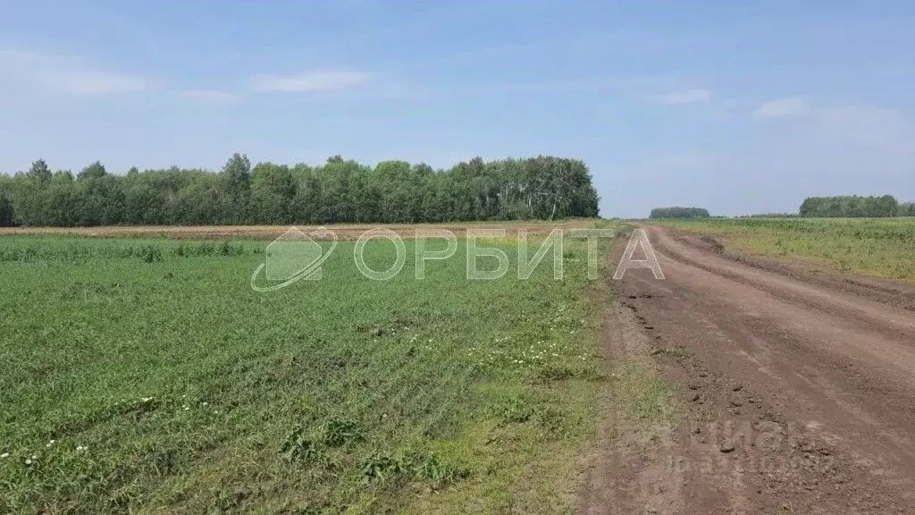 Участок в Тюменская область, Тюменский муниципальный округ, с. Луговое ... - Фото 2