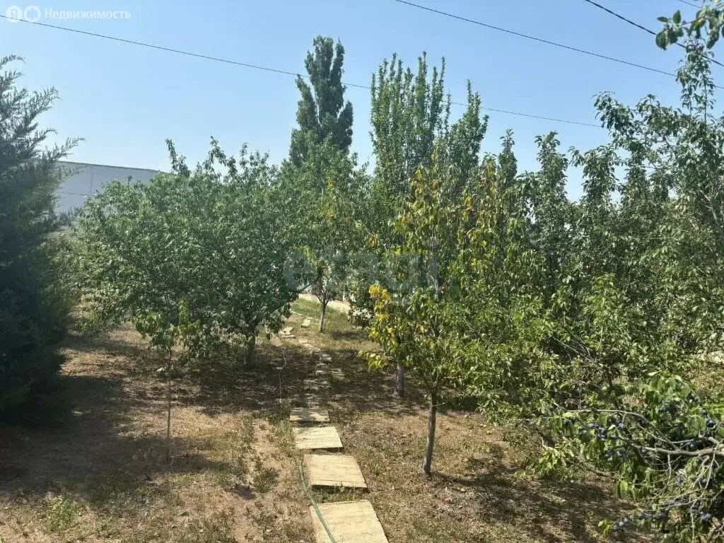 Участок в Ленинаван, Озёрная улица, 4 (6 м) - Фото 1