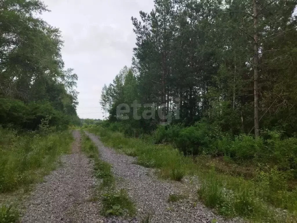 Участок в Свердловская область, Талица  (12.0 сот.) - Фото 1