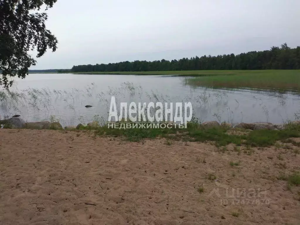 Участок в Ленинградская область, Приозерский район, Громовское с/пос, ... - Фото 1