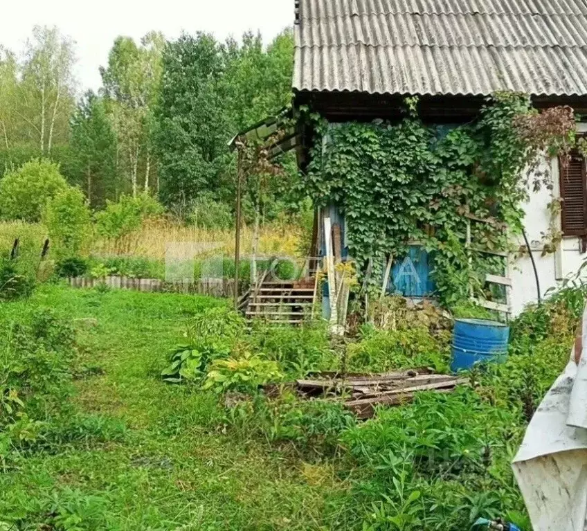Дом в Кемеровская область, Новокузнецк Шахтостроитель дп, 334 (45 м) - Фото 2