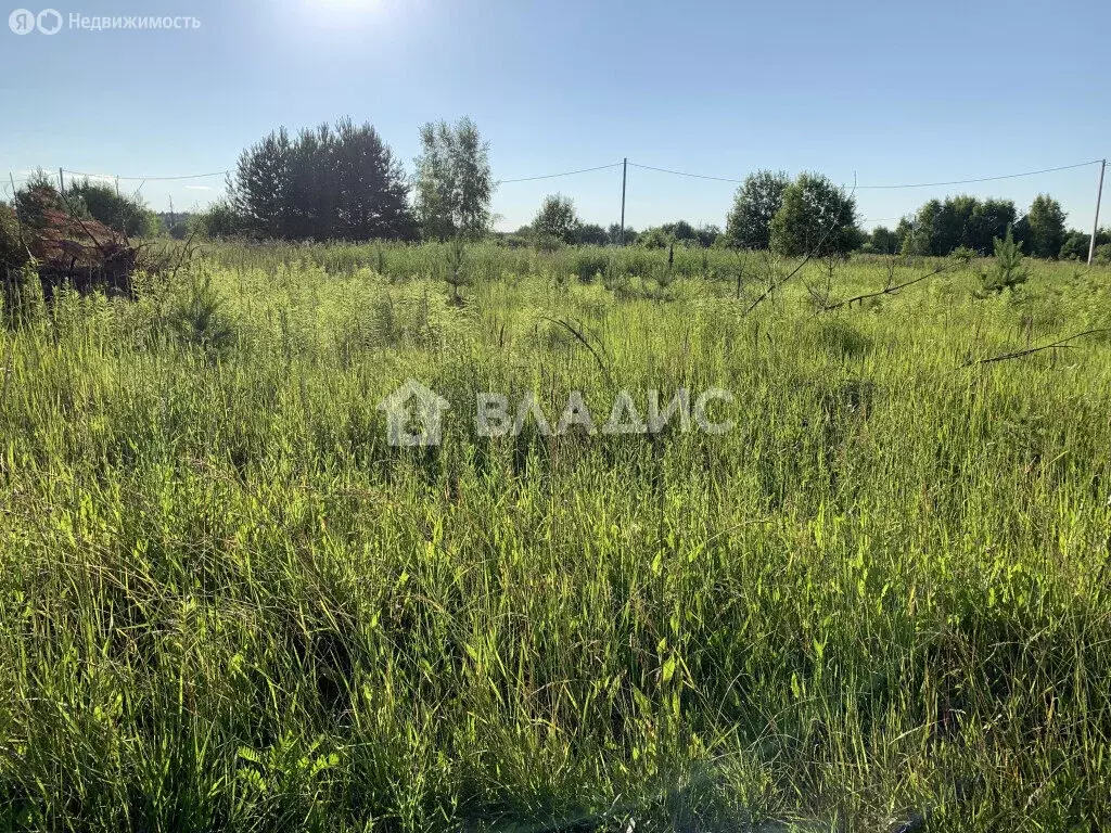 Участок в Ковровский район, муниципальное образование Малыгинское, ... - Фото 1