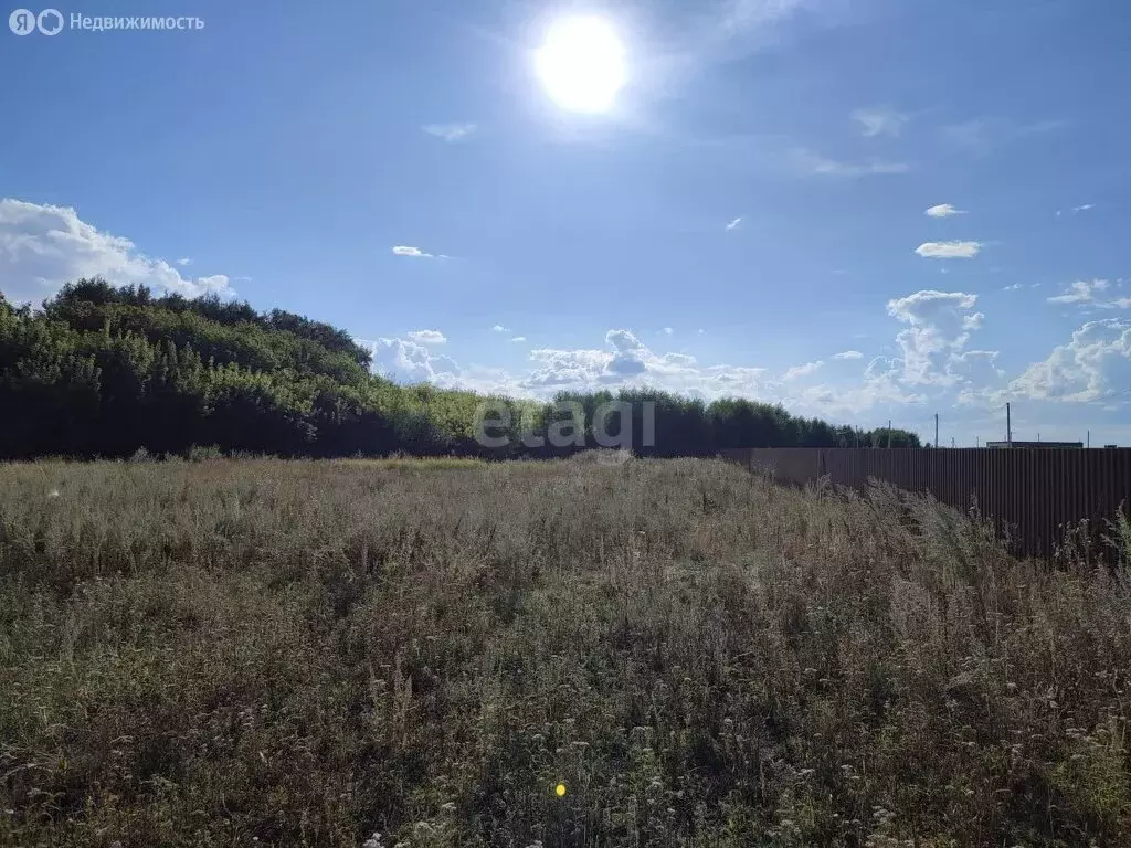 Участок в муниципальный округ Омский район, деревня Зелёное Поле (9.52 ... - Фото 2
