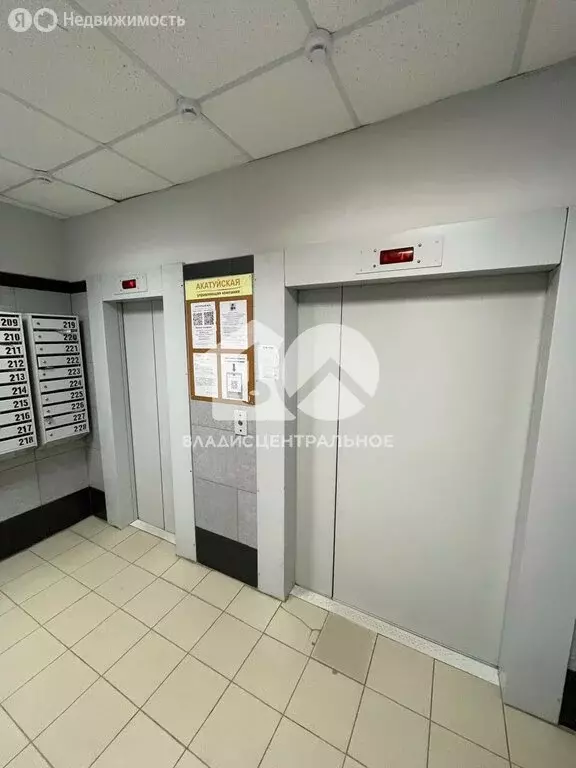 1-комнатная квартира: Новосибирск, улица Петухова, 14А (36 м) - Фото 1