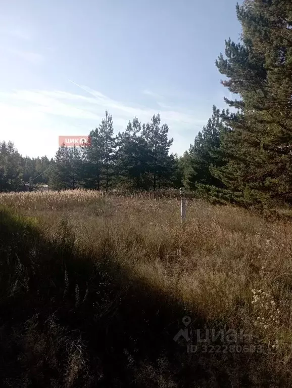 Участок в Рязанская область, Спасский муниципальный округ, Панинское ... - Фото 2