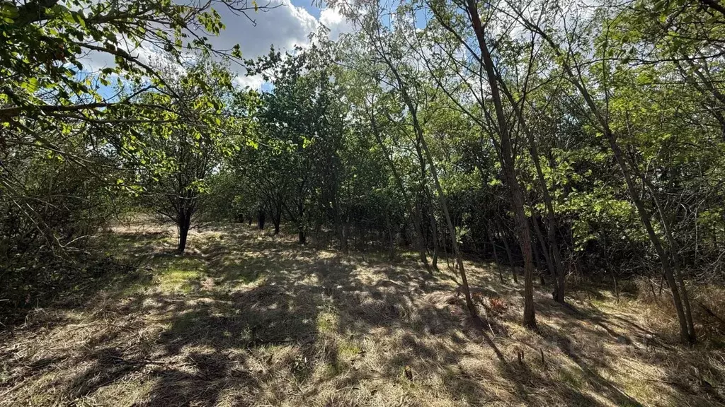 Участок в Ростовская область, Усть-Донецкий район, Мелиховская ст-ца ... - Фото 1