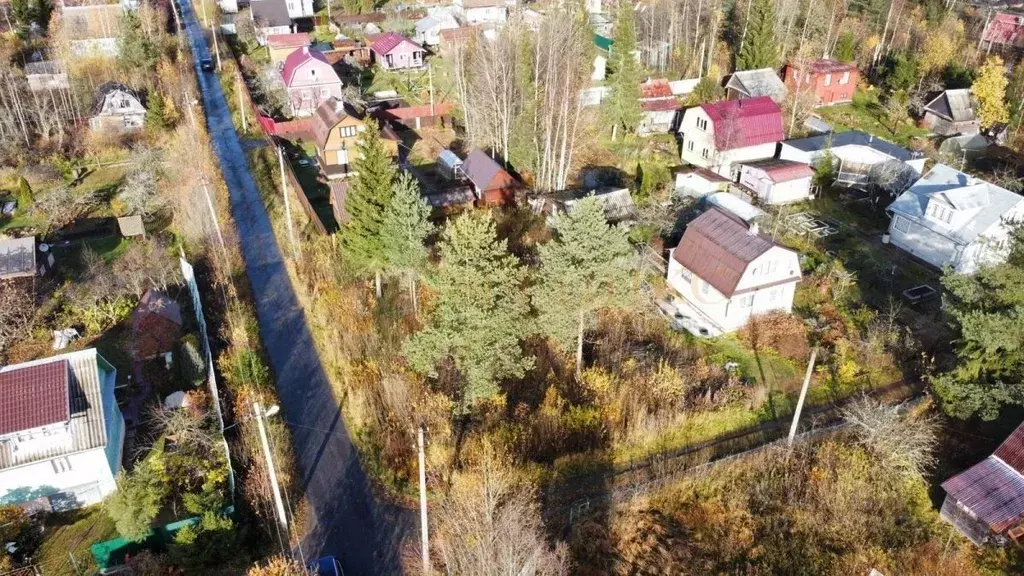 Участок в Ленинградская область, Лужский район, Мшинское с/пос, ... - Фото 2