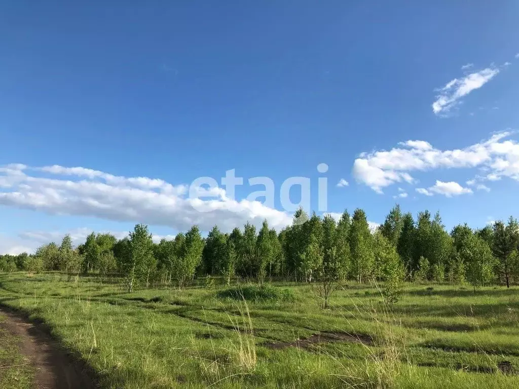 Участок в Красноярский край, Березовский район, Вознесенский ... - Фото 0