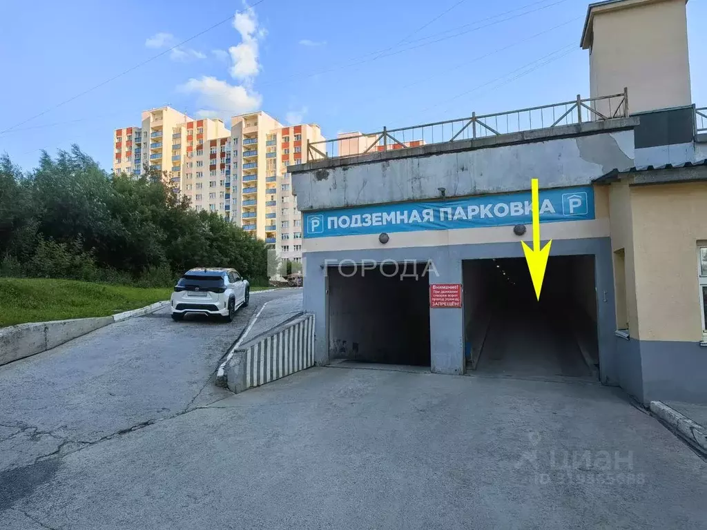 Гараж в Новосибирская область, Новосибирск Березовая ул., 11 (16 м) - Фото 1