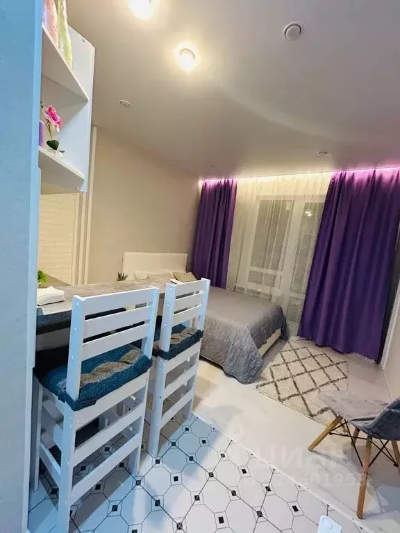 Студия Пензенская область, Пенза ул. Шмидта, 24 (25.0 м) - Фото 2