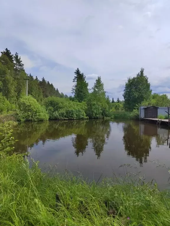 Участок в Ленинградская область, Тосненское городское поселение, д. ... - Фото 2