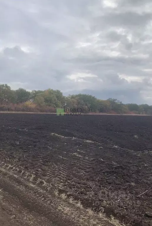 Участок в Саратовская область, Саратов Дом на Волге жилой комплекс ... - Фото 0