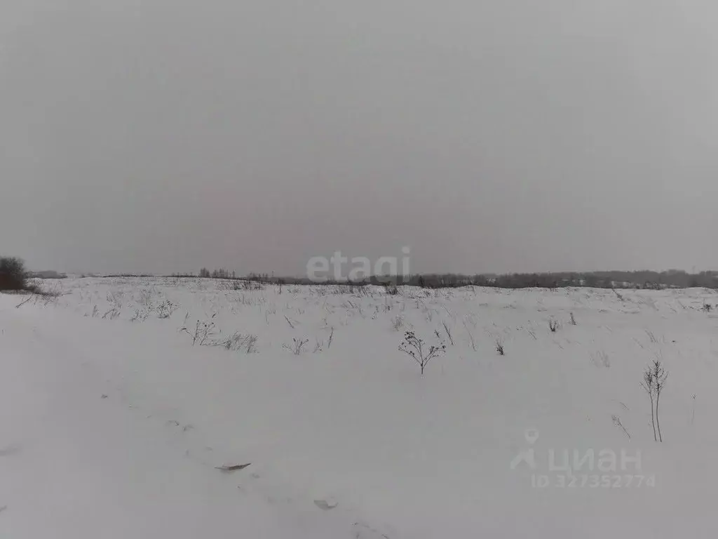 Участок в Смоленская область, Смоленский муниципальный округ, д. ... - Фото 2