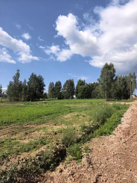 Участок в Московская область, Одинцовский городской округ, Каретный ... - Фото 1